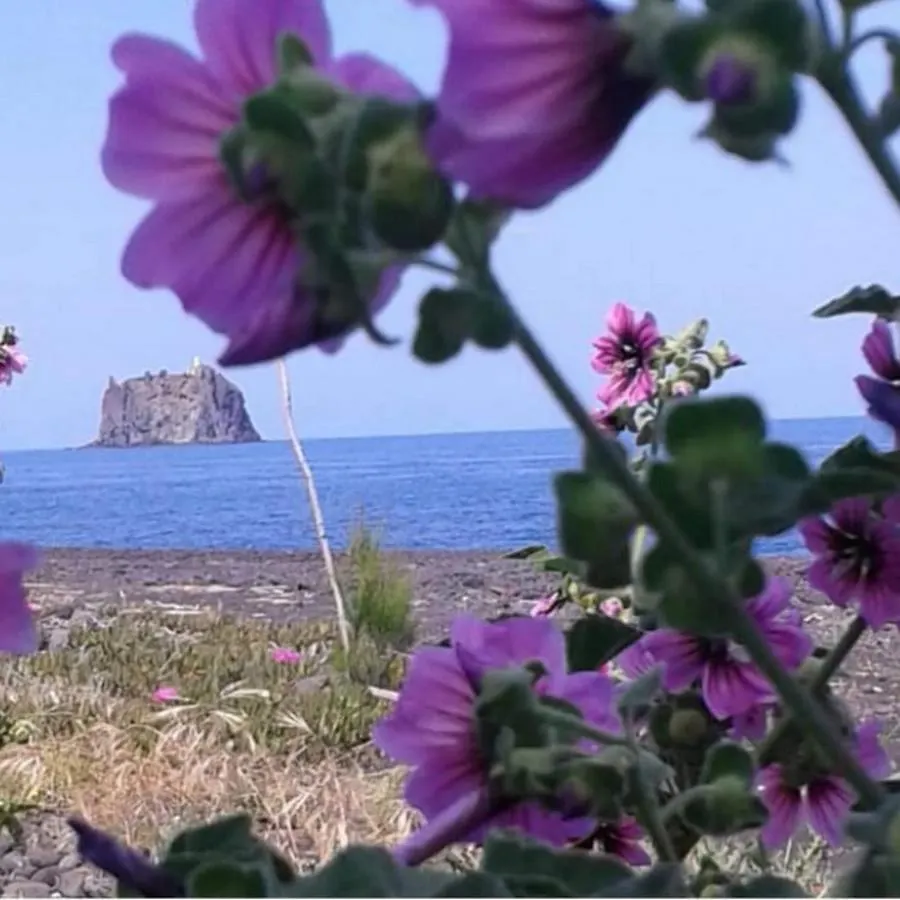 Farm stay Agriturismo Solemare Stromboli Italy