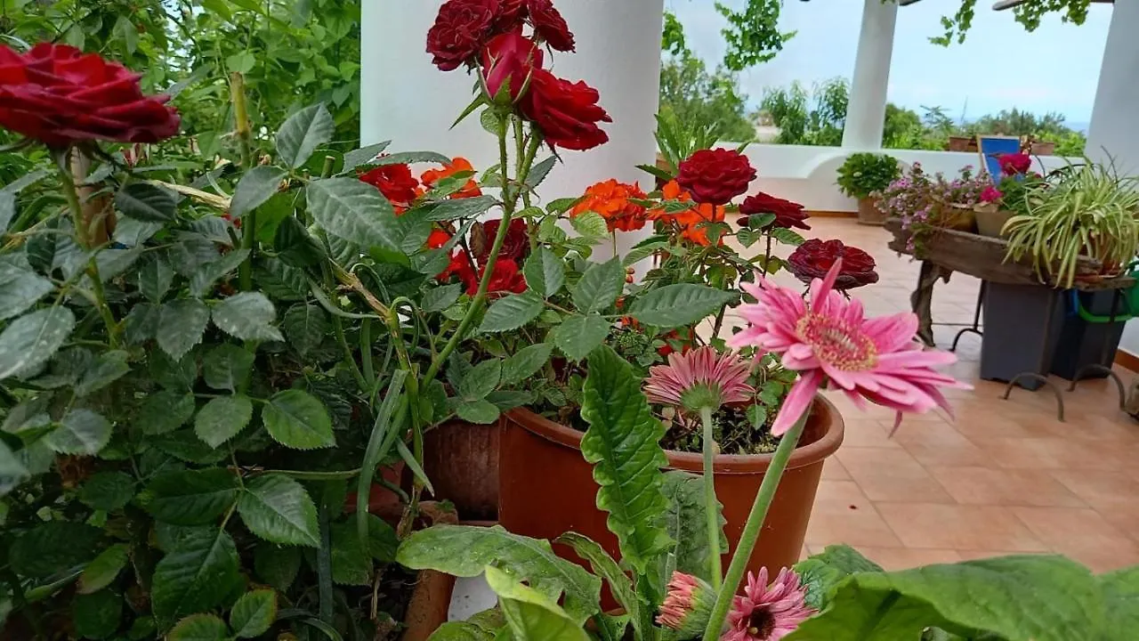 Agriturismo Solemare Stromboli Farm stay
